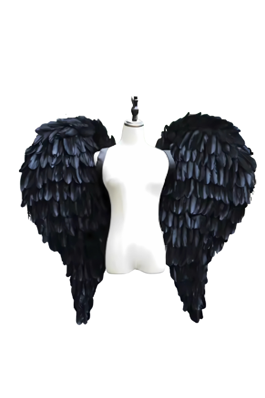 Feather BackPack Wings