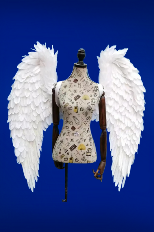 Feather BackPack Wings